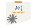 Marketing Audit